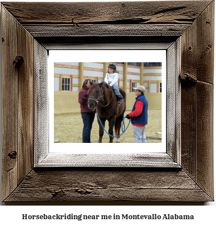 horseback riding near me in Montevallo, Alabama